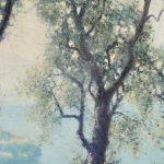 Arbres en fleurs – Baie de Villefranche thumbnail