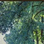 Summer on the Meuse thumbnail