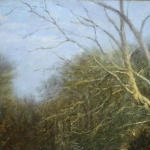 Winter – Fontainebleau Forest thumbnail