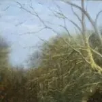 Winter – Fontainebleau Forest thumbnail