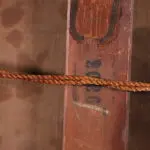 Winter – Fontainebleau Forest thumbnail