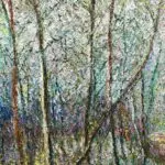 Le Foret de Cerisy en Fevrier thumbnail
