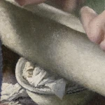 The Bath thumbnail