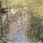 La Chalandiere a Brière – Brittany thumbnail