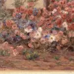 Les Reines Marguerites thumbnail