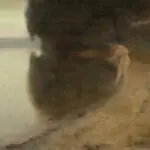 Bather by Lake thumbnail