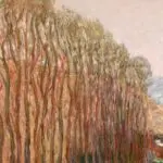 Arbres sur la riviere thumbnail