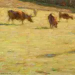 Effets de lumiere dans le pre thumbnail