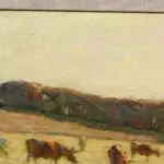 Effets de lumiere dans le pre thumbnail