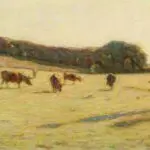 Effets de lumiere dans le pre thumbnail