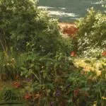Les brumes du matin – Villeneuve l’etang thumbnail