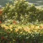 Les brumes du matin – Villeneuve l’etang thumbnail