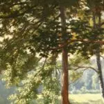Les brumes du matin – Villeneuve l’etang thumbnail