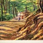 A walk in the forest – Wiesbaden thumbnail
