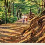 A walk in the forest – Wiesbaden thumbnail