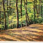 A walk in the forest – Wiesbaden thumbnail
