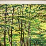 A walk in the forest – Wiesbaden thumbnail