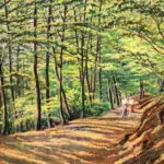 A walk in the forest – Wiesbaden thumbnail