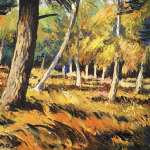 Automne dans les bois thumbnail