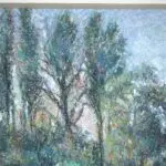 La Rive Gauche du Parc a Enghien thumbnail