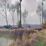 Marecages en Seine et Marne thumbnail