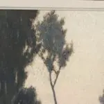 Buee Matinale thumbnail