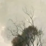 Nuages sur la Seine – Fevrier thumbnail