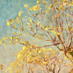 Radiant Autumn – Wakken thumbnail