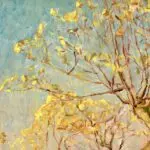 Radiant Autumn – Wakken thumbnail