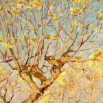 Radiant Autumn – Wakken thumbnail