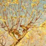 Radiant Autumn – Wakken thumbnail