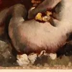 Nu Allonge thumbnail