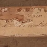 Fleurs a l’eventail thumbnail