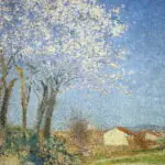 Belvèze du Razes thumbnail