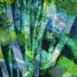 Vallée du Cousin thumbnail