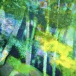Vallée du Cousin thumbnail