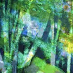 Vallée du Cousin thumbnail