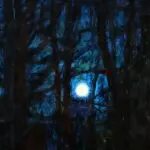 A Winter’s Night – Auvergne thumbnail