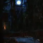 A Winter’s Night – Auvergne thumbnail