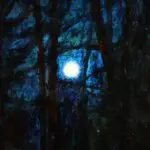 A Winter’s Night – Auvergne thumbnail