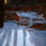 A Winter’s Night – Auvergne thumbnail