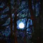 A Winter’s Night – Auvergne thumbnail