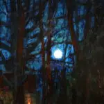 A Winter’s Night – Auvergne thumbnail