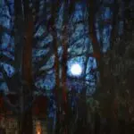 A Winter’s Night – Auvergne thumbnail