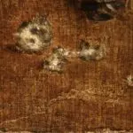 Deux vieillards aux chatons thumbnail
