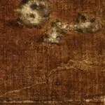 Deux vieillards aux chatons thumbnail