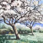 Pommiers en fleurs thumbnail