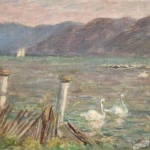 Cygnes sur la Lac thumbnail