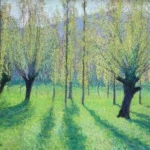 Peupliers au printemps au bord du Vert thumbnail