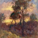 Sunset through the Trees thumbnail